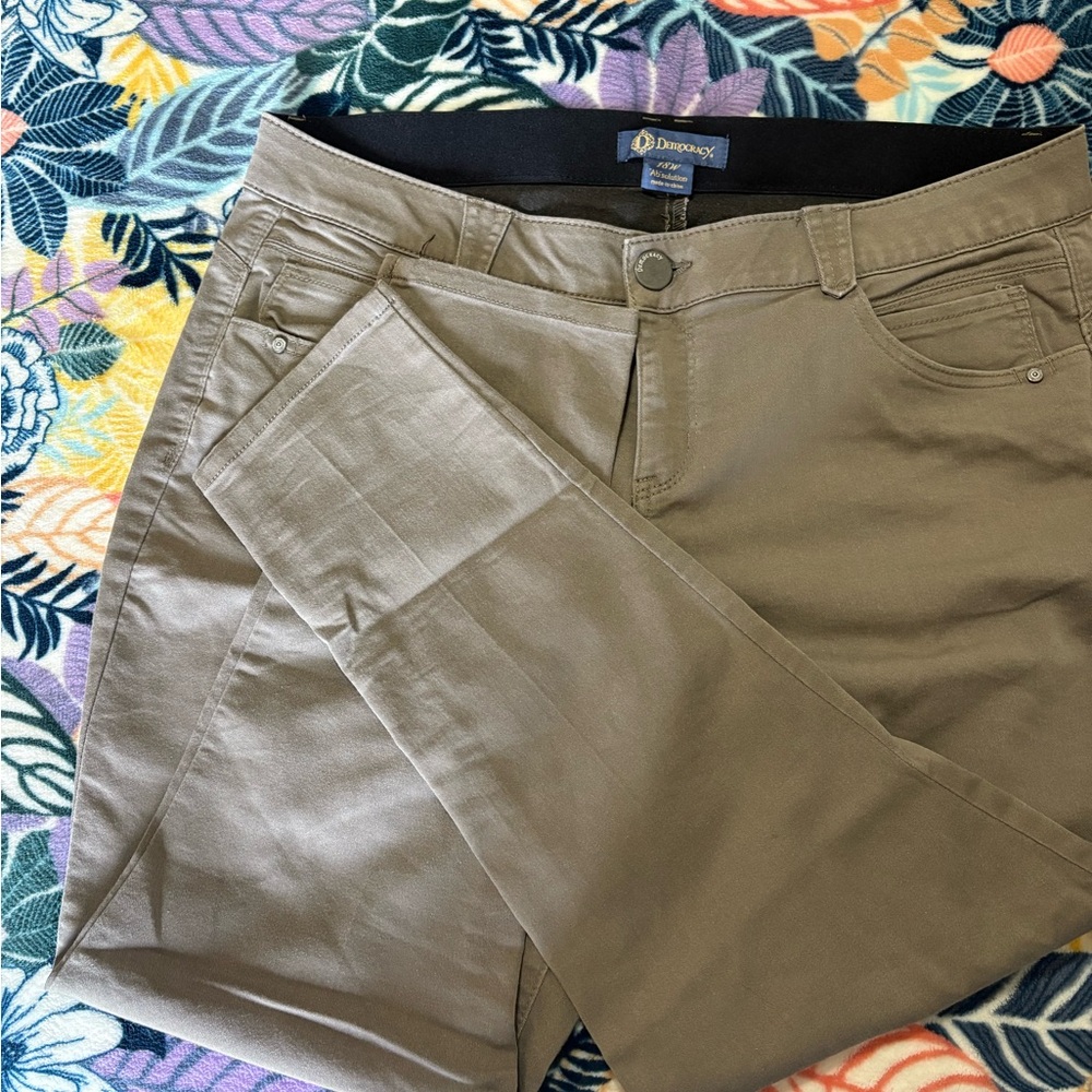 Democracy Taupe Ab Solution Pants